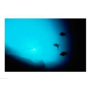  Three scuba divers swimming underwater, Blue Hole, Belize 