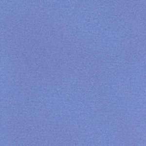  58 Wide Malden Mills Double sided Fleece Blue Fabric By 