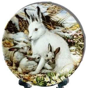 Arctic Hare Family Collectors Plate from The Beauty of Polar Wildlife 