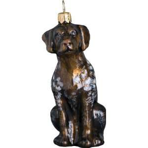   the World Collectibles   German Shorthair Pointer Dog