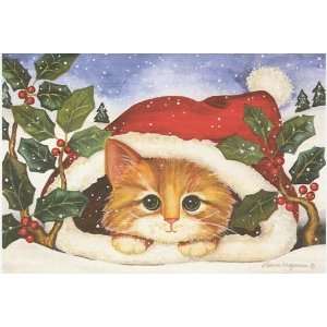  Orange Kitten Boxed Holiday Cards Christmas Kitten 