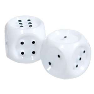  Tactile Brailled Dice Set of 2 Dice Health & Personal 