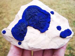 25 Blue Azurite Suns on Kaolinised Siltstone, Australia AZSun135 