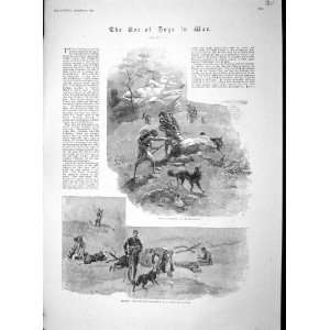  1893 WAR DOGS BOSNIA FRANCE RUSSIA GERMANY AMBULANCE