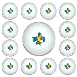  Delaware Fightin Blue Hens Team Logo Golf Ball Dozen Pack 