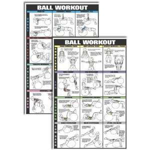  Co Ed Swiss Ball Workout Chart Kit
