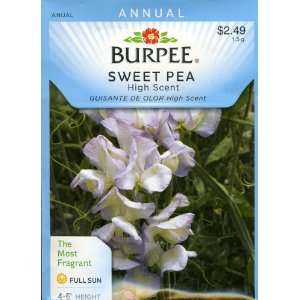  Burpee 37297 Sweet Pea High Scent Seed Packet Patio, Lawn 