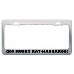 Got Musky Rat Kangaroo? Animals Pets Metal License Plate Frame Holder 