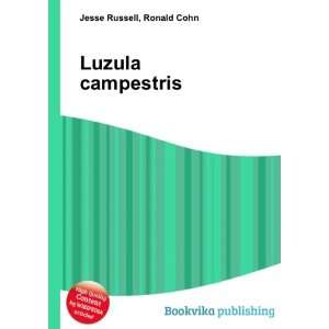  Luzula campestris Ronald Cohn Jesse Russell Books