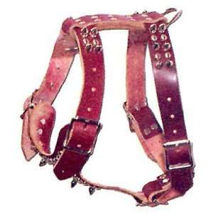   One Ply Latigo Harness, with spikes and studs   Small 