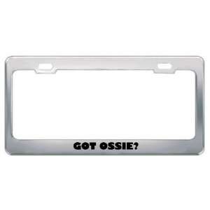  Got Ossie? Girl Name Metal License Plate Frame Holder 