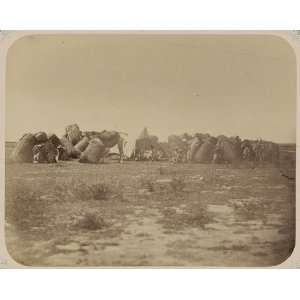   Night lodging site,Bukharan caravans,Syr Darya,c1865