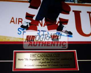 Wayne Gretzky & Gordie Howe Collector Photo Framed  