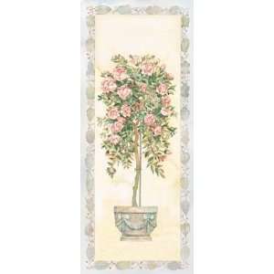  Weeping Rose Bush Poster Print