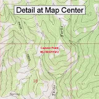 USGS Topographic Quadrangle Map   Cayuse Point, Idaho (Folded 