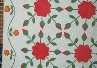The quilting is SUPERB, with quilting around and within the applique 