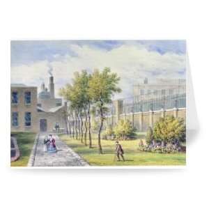 Garden of St. Thomass Hospital, Southwark,   Greeting Card (Pack of 