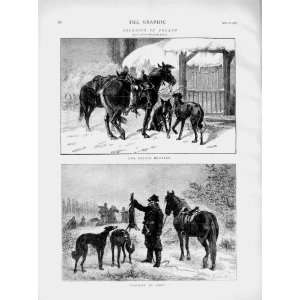    1873 Hare Coursing Poland Hunting Horses Men Sport