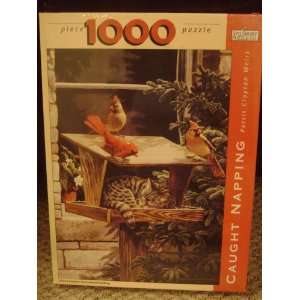  Spilsbury Puzzle Co 1000 Piece Puzzle Caught Napping Toys 