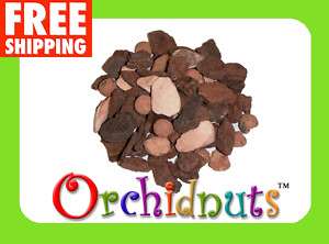 PREMIUM ORCHID NUTS LARGE CATTLEYA POTTING MIX 2 LBS  