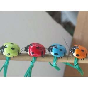   20 Colorful Ladybug Plant Ties Orchid Spike Clip Patio, Lawn & Garden
