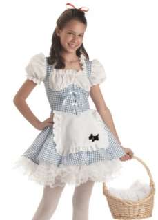 Halloween Costume Accessories Dorothy of Oz TOTO Basket 082686005838 