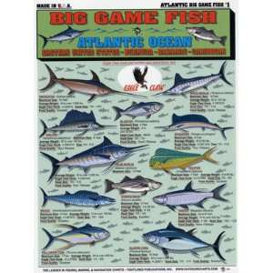  Tightlines Chart #1   Big Game Fish Id Chart   Atlantic 