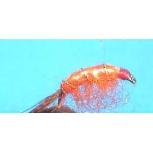  Orange Scud Flashback   Size 12   Fishing Fly Sports 