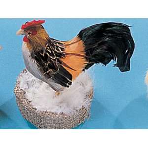  Chicken Rooster Decoration Figurine Lifelike Model Statue 