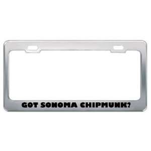 Got Sonoma Chipmunk? Animals Pets Metal License Plate Frame Holder 
