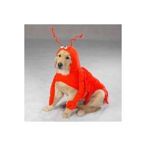  Lobster Paws Costume