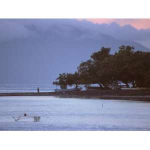  Fisherman, Papeeta, Society Islands, Tahiti Stretched 