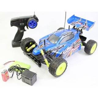 10 Scale Off Road Extreme Racing Buggy The Rogster Born To Race 