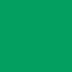   PhotoWide Seamless Background Paper (#46 Tech Green)