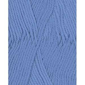   Soft Baby Steps Yarn 9800 Baby Blue (5 oz.) Arts, Crafts & Sewing