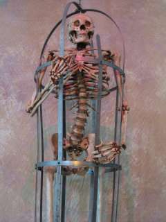 Skeleton Cage Life Size Halloween Prop, Human Skeletons  