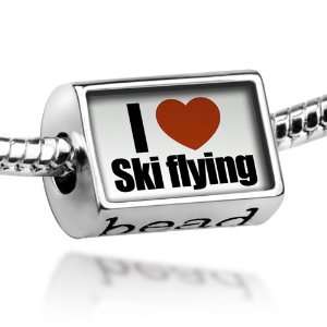  Beads I Love ski flying   Pandora Charm & Bracelet 