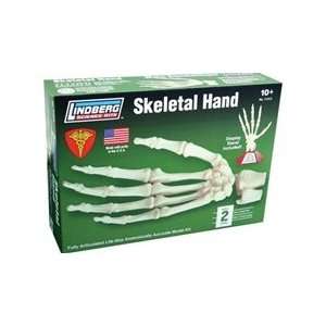  Skeletal Hand Model Industrial & Scientific
