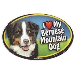  Dog Breed Image Magnet Oval Bernese Mountain Dog Pet 
