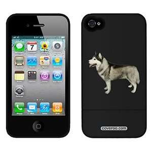  Siberian Husky on Verizon iPhone 4 Case by Coveroo  