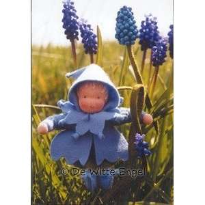  Grape Hyacinth 