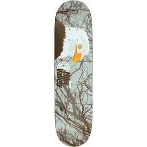    Element Deck Feathers Mike Vallely 7.875