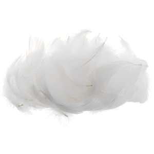  2 3 Goose Feather (3 Gram/Bag) White (Pack of 24)