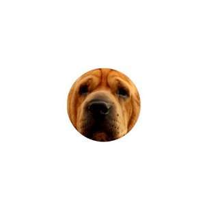  Sharpei 6 1in Button C0764 