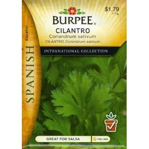   Spanish   Herb Coriander/Cilantro Seed Packet Patio, Lawn & Garden