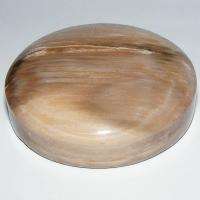 Petrified Wood Cookie Paper Weight or Lapidary Rough  