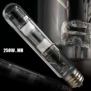  250 Watt MH Metal Halide Light Bulb Hydroponics Patio 