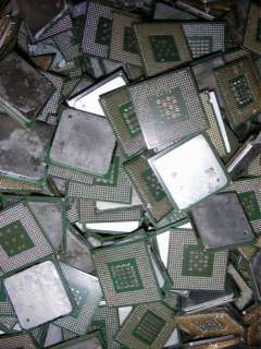 Computer Scrap P4 CPU s, 2 lbs, Gold,   