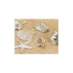  Jewels of the Sea Seashells