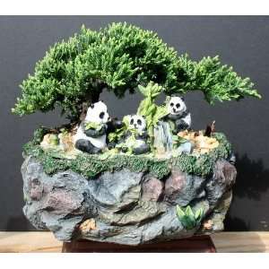 Juniper Bonsai in Panda Bonsai Pot by Sheryls Shop  